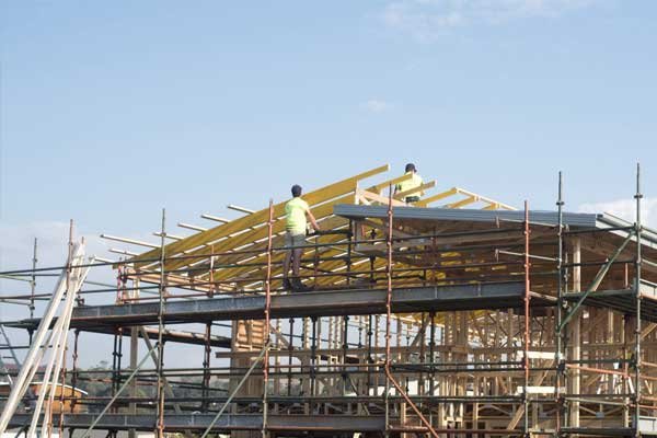 Timber & Construction